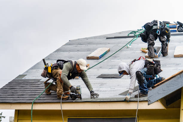 Professional Gutter Installation technician working in Millwood, KY